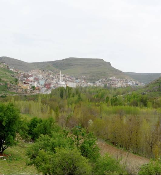 MARDİN KADASTRO MAHKEMESİNDEN