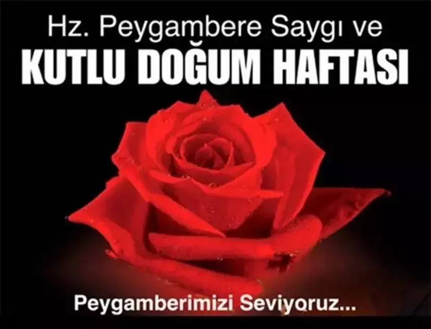 Kutlu doğum haftası mesajları: En anlamlı, hadisli, dualı, özel, resimli mesajlar, sözler