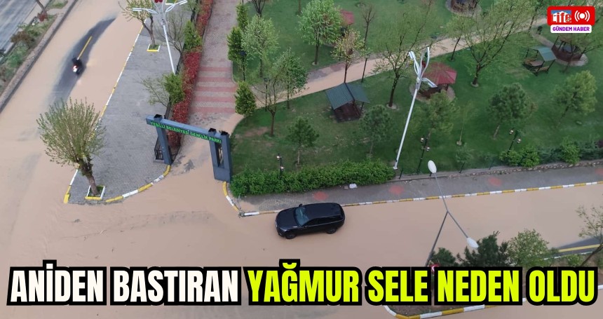 Aniden Bastıran Yağmur Sele Neden Oldu