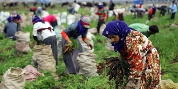Kürtçe "işçi" ne demek? Kürtçe "işçi" nasıl denir? Kürtçe işçi nasıl yazılır?