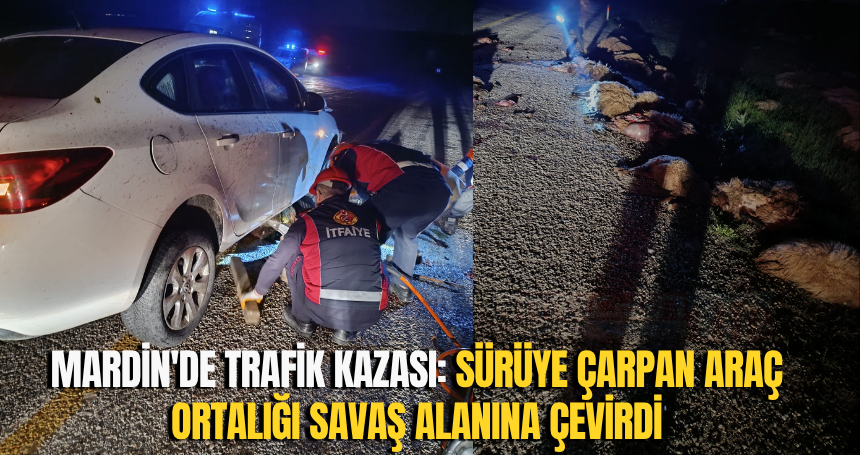 Mardin'de Trafik Kazası: Sürüye çarpan araç ortalığı savaş alanına çevirdi
