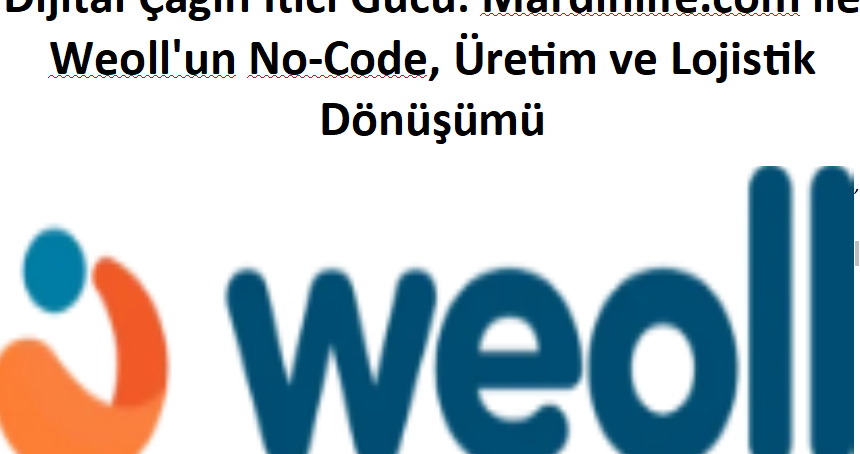 Dijital Çağın İtici Gücü: Mardinlife.com ile Weoll'un No-Code, Üretim ve Lojistik Dönüşümü