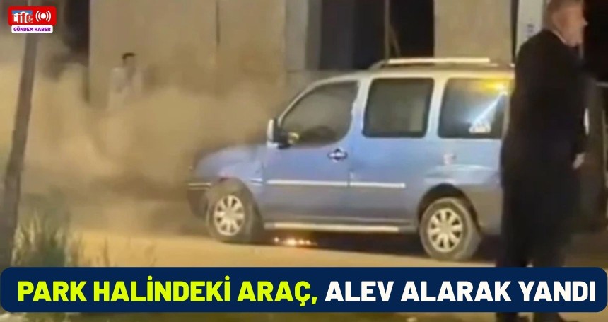 Mardin’de park halindeki araç, alev alarak yandı