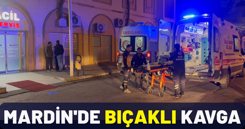 Mardin'de bıçaklı kavga