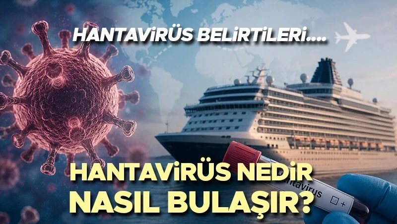 Hantavirüs nedir, nasıl bulaşır? Belirtileri nelerdir, nasıl korunulur? Hantavirüs aşısı var mı?