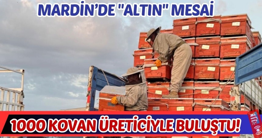 Mardin’de Arıcılığa Büyük Destek: 100 Üreticiye 1000 Arılı Kovan Dağıtıldı