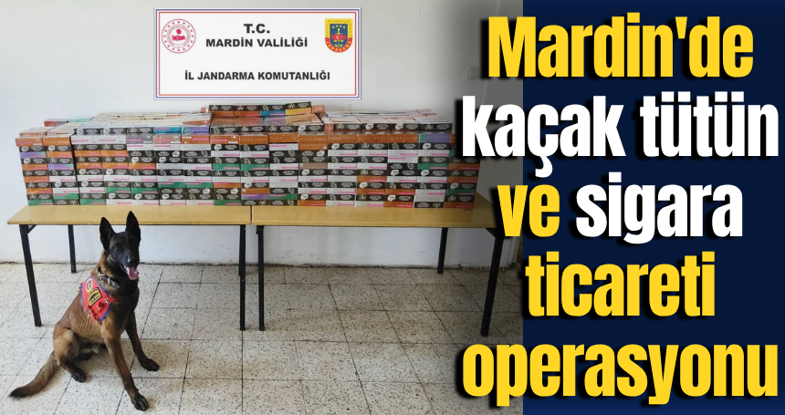 Mardin'de kaçak tütün ve sigara ticareti operasyonu