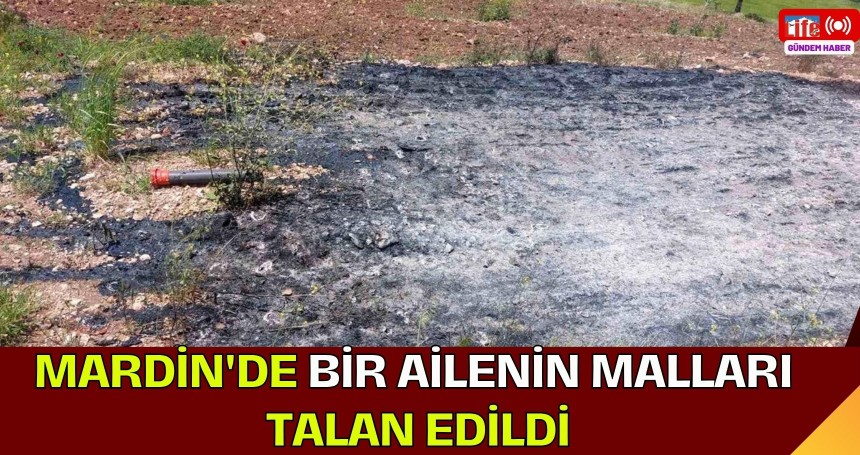 Mardin'de bir ailenin malları talan edildi