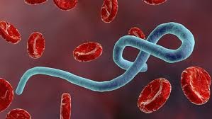 Ebola virüsü nedir, nasıl bulaşır? Belirtileri nelerdir? Ebola virüsünden korunmanın yolları neler?
