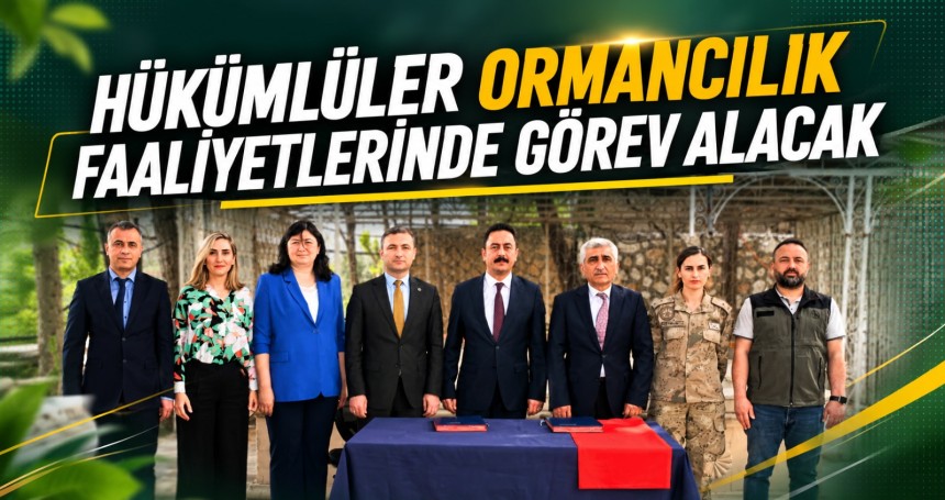 Hükümlüler ormancılık faaliyetlerinde görev alacak
