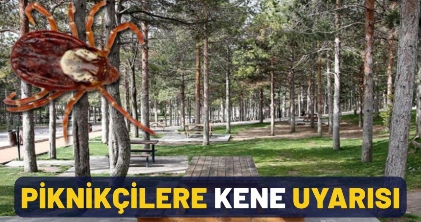 Piknikçilere kene uyarısı