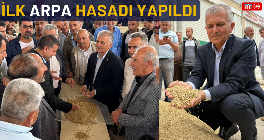 Sezonun ilk arpa hasadı yapıldı
