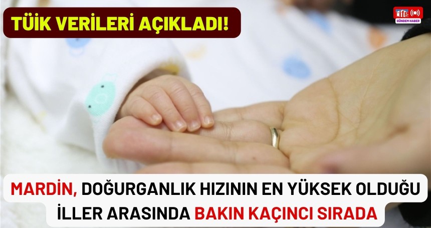 TÜİK verileri açıkladı: Mardin, doğurganlık hızının en yüksek olduğu iller arasında bakın kaçıncı sırada