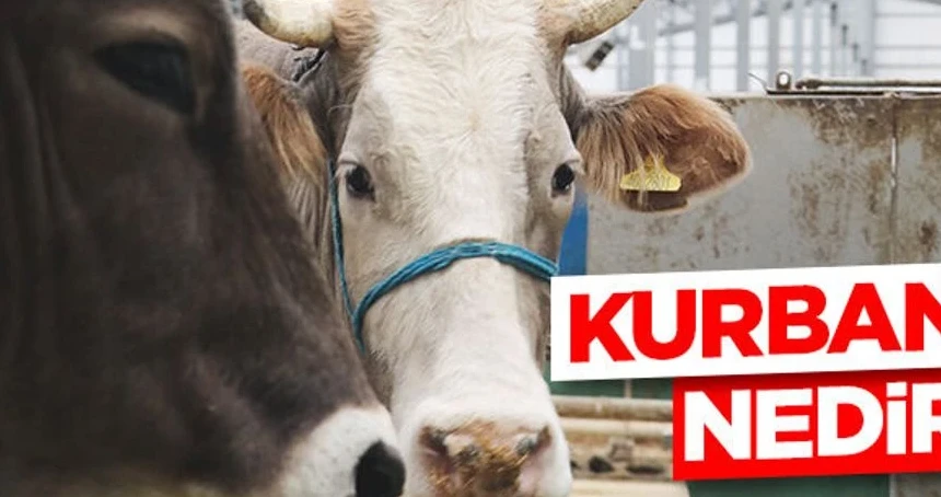 Kurban ne demek? Kurban ne anlama geliyor? Kökeni ne?