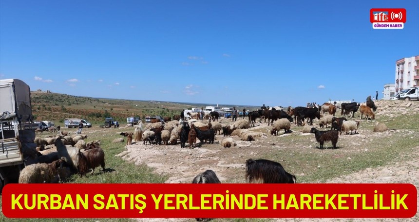 Kurban satış yerlerinde hareketlilik