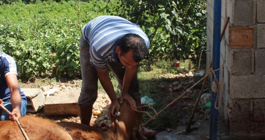 Uzmanlardan kurban kesimi ve eti saklama koşulları hakkında tavsiyeler