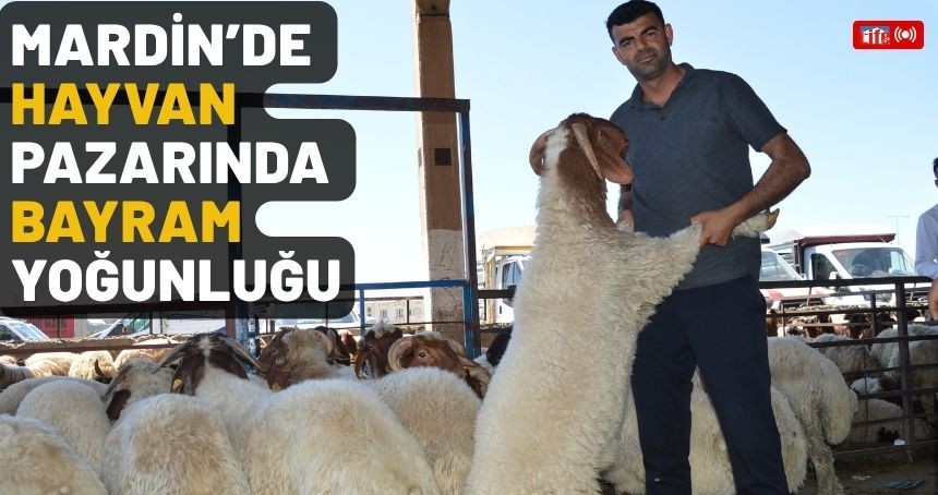 Mardin’de hayvan pazarında bayram yoğunluğu