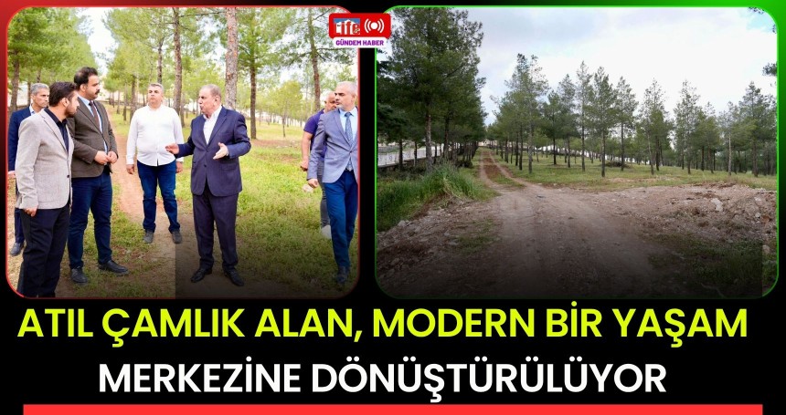 Atıl çamlık alan, modern bir yaşam merkezine dönüştürülüyor