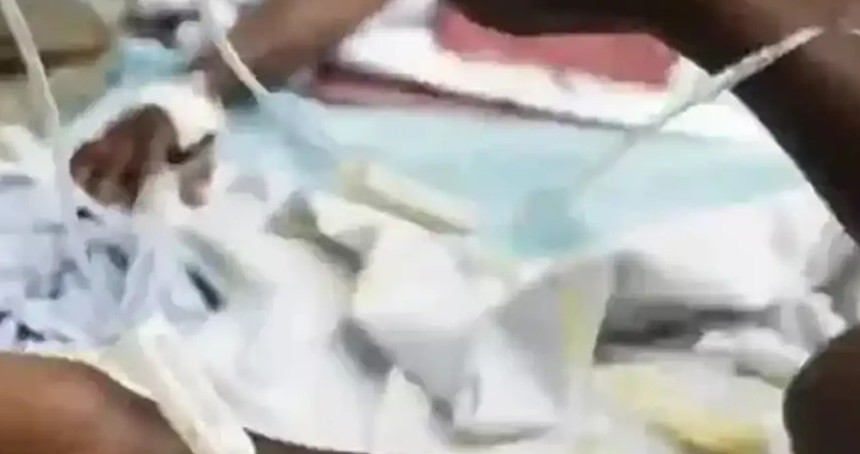 Nijerya'da kolera salgını yayılırken 90'dan fazla kişi hayatını kaybetti