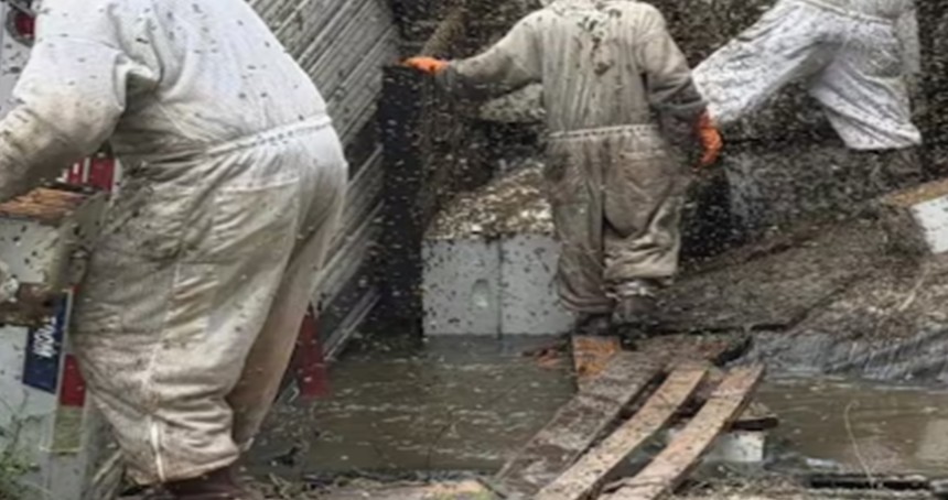 Kovan yüklü tır devrildi: İki milyon arı bölgeyi istila etti