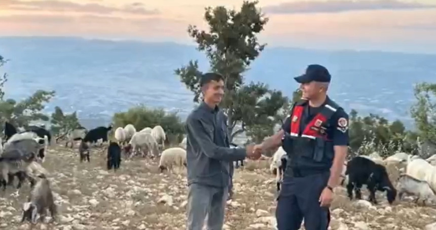 Mersin'de kaybolan 40 küçükbaş hayvan dron destekli aramayla bulundu