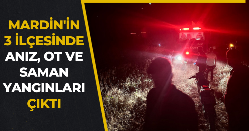 Mardin'in 3 ilçesinde anız, ot ve saman yangınları çıktı