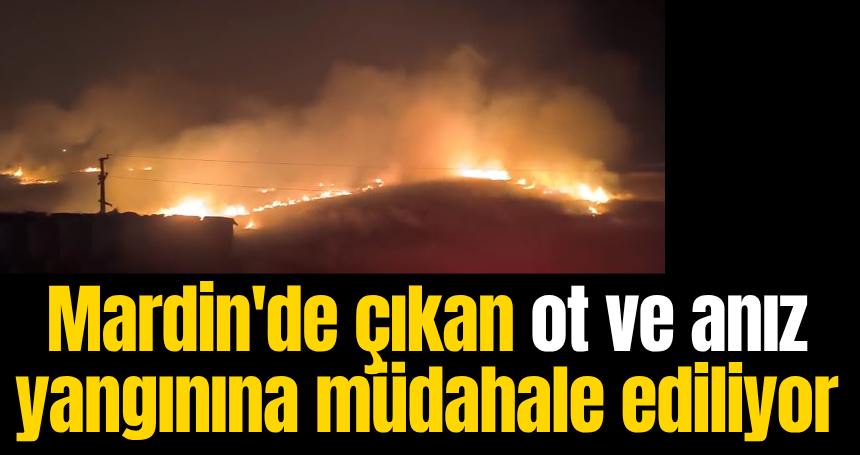 Mardin'de çıkan ot ve anız yangınına müdahale ediliyor