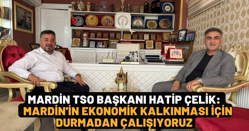Başkan Çelik: Mardin'in ekonomik kalkınması için durmadan çalışıyoruz