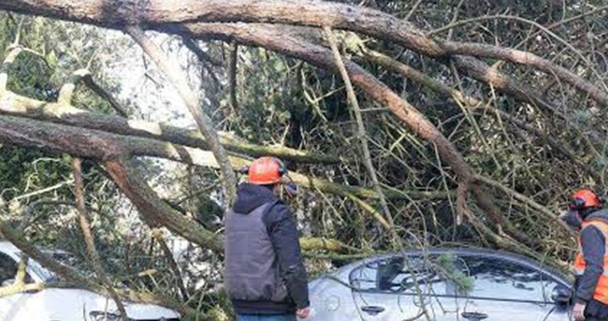 Fransa'da şiddetli fırtına birçok bölgede hasara yol açtı