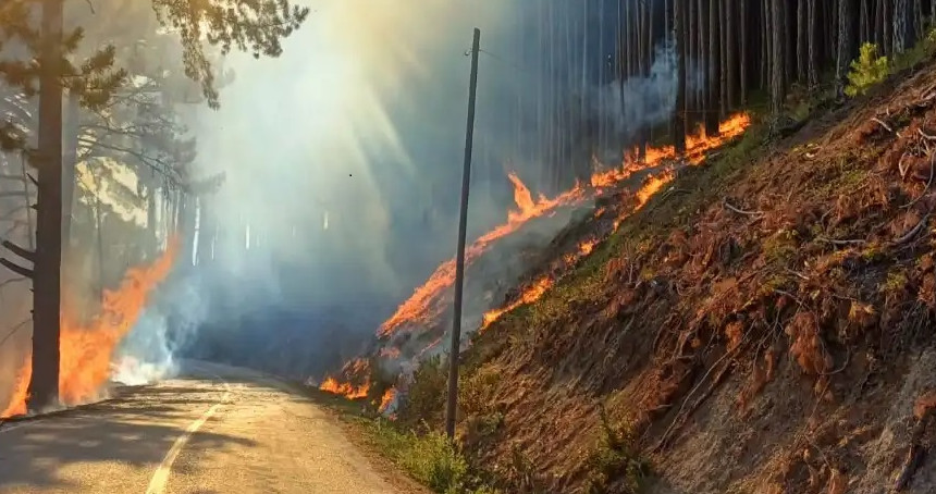 Sinop’ta iki ilçeye yüksek yangın riski uyarısı