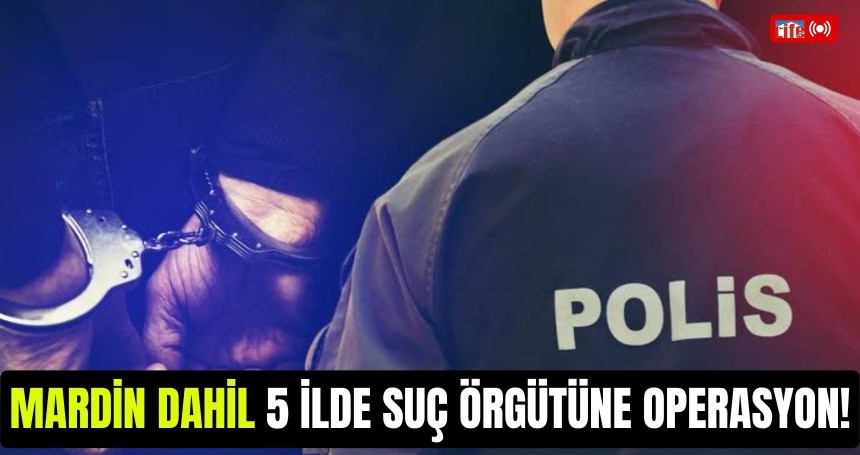 Mardin dahil 5 ilde suç örgütüne operasyon!