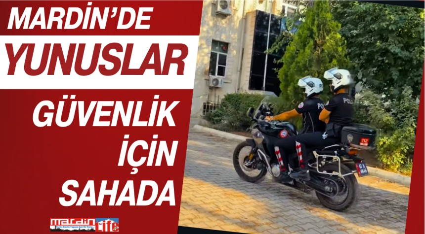 Mardin’de  “Yunuslar” Güvenlik İçin Sahada