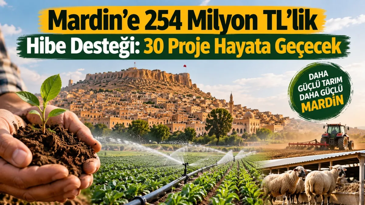 Mardin’e 254 Milyon TL’lik Hibe Desteği: 30 Proje Hayata Geçecek