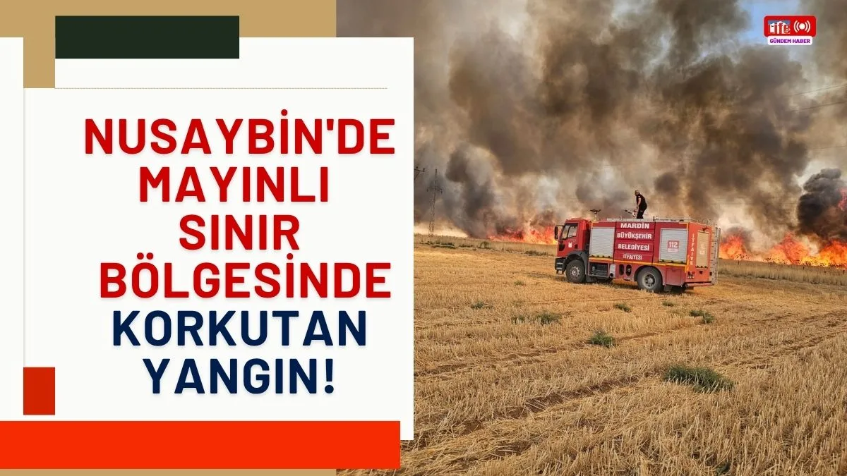 Nusaybin'de mayınlı sınır bölgesinde korkutan yangın!