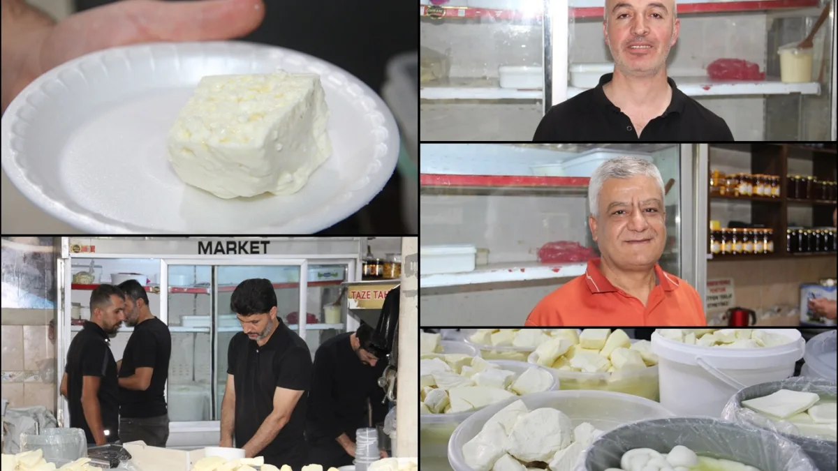 Peynir fiyatları cep yakıyor: Koyun peyniri 650 liraya ulaştı