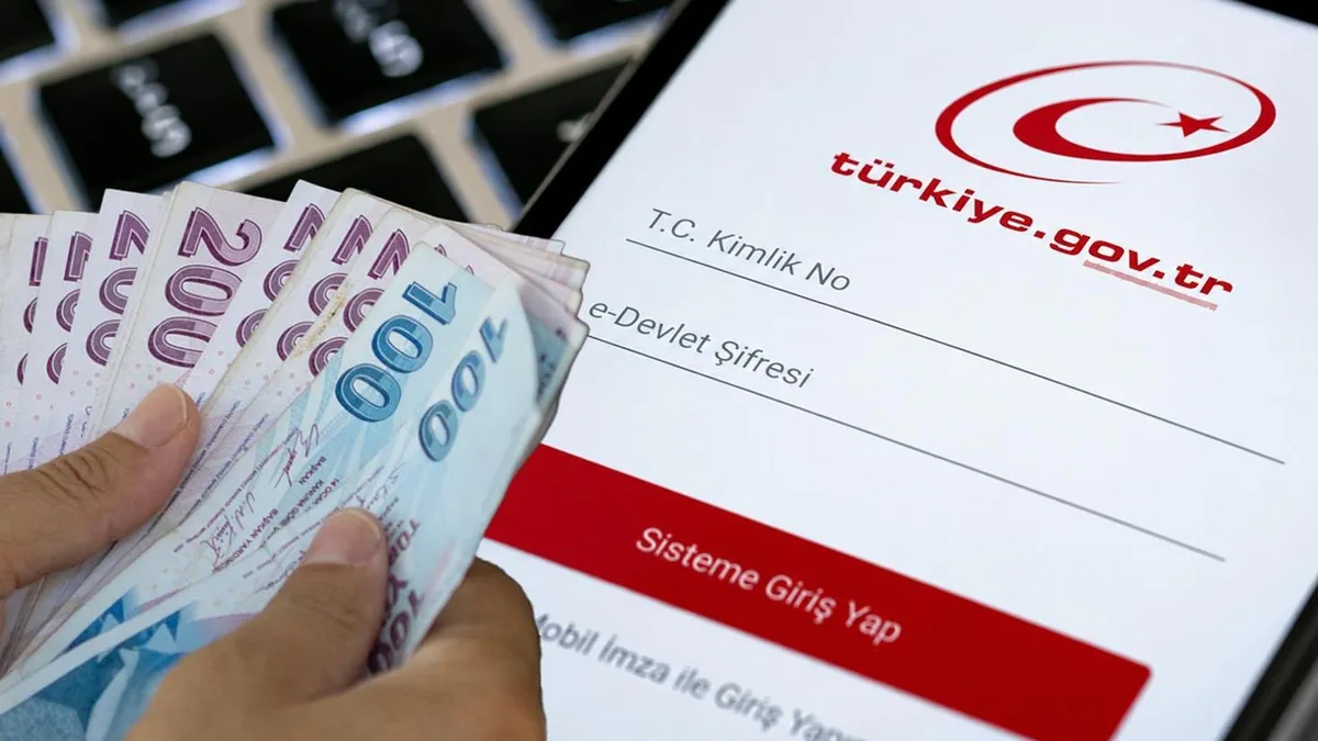 Parasını bekleyen fon yatırımcıları dikkat! e-Devlet'te bu kodu olanlar öncelikli