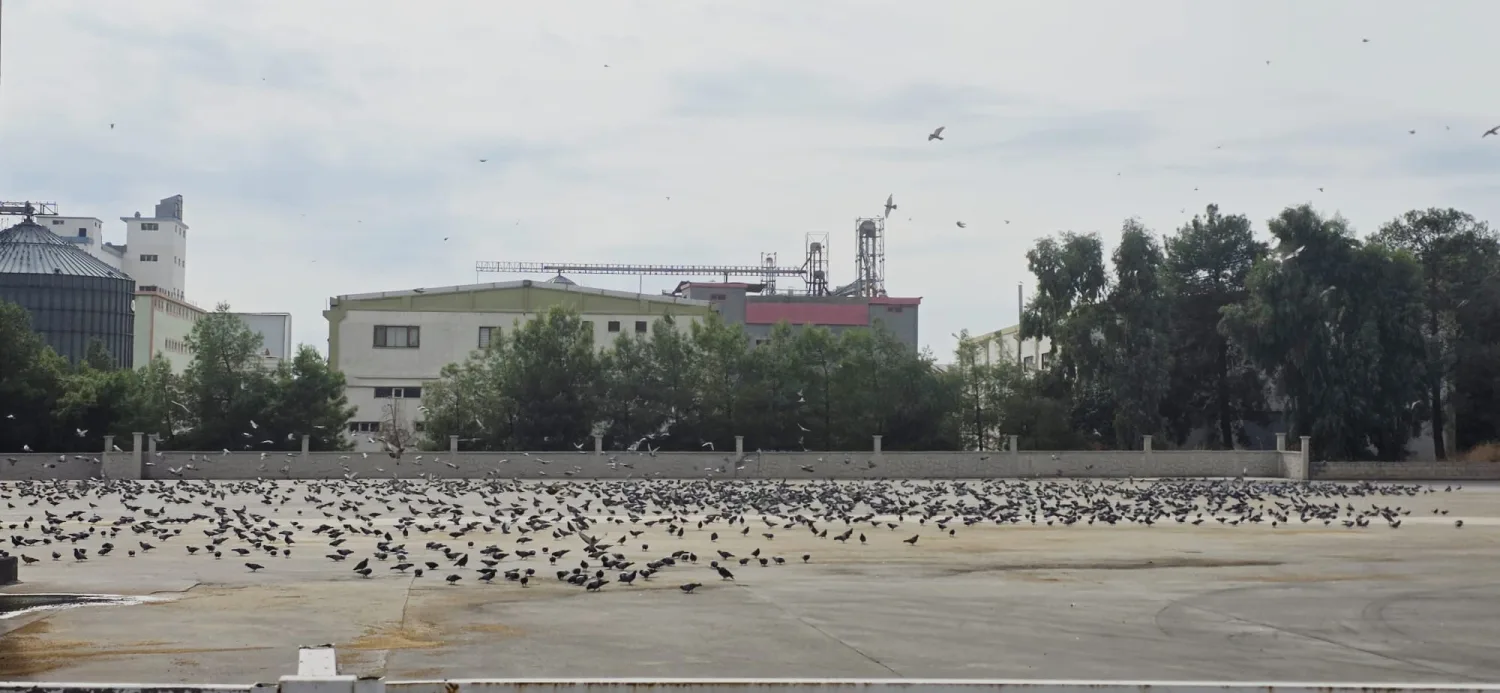 Betonlaşan Sanayide Merhamet Vahası: Mir Duy Fabrikası’ndan Örnek Davranış