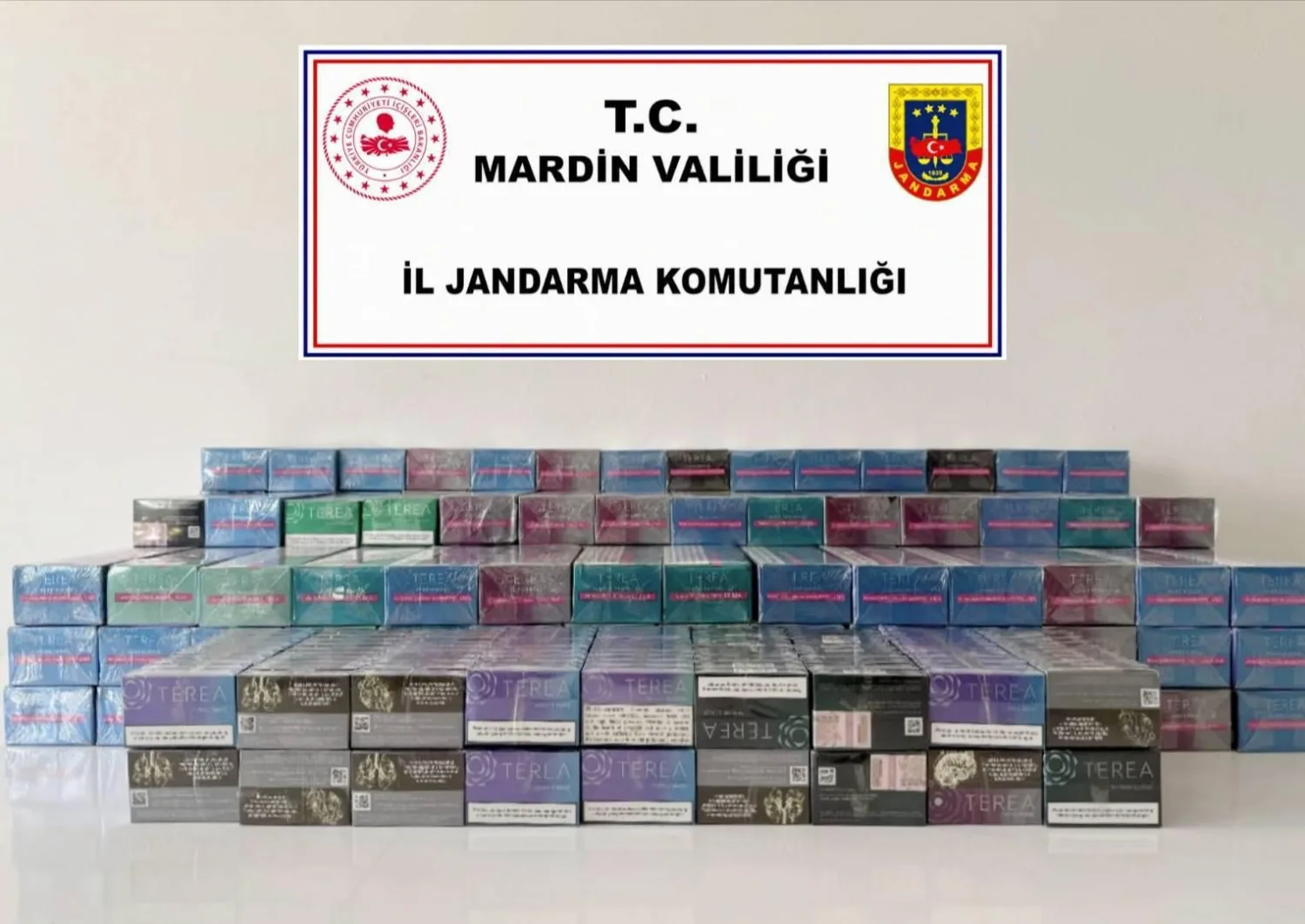 Mardin’in 4 ilçesinde eş zamanlı operasyon