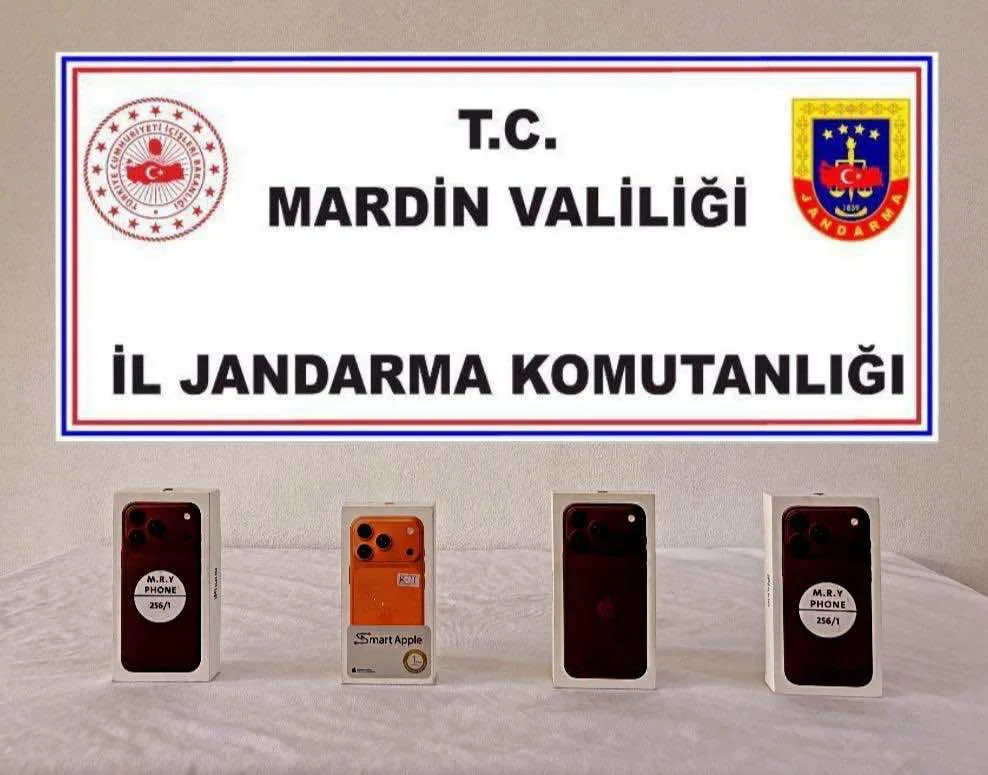 Mardin’in 4 ilçesinde eş zamanlı operasyon