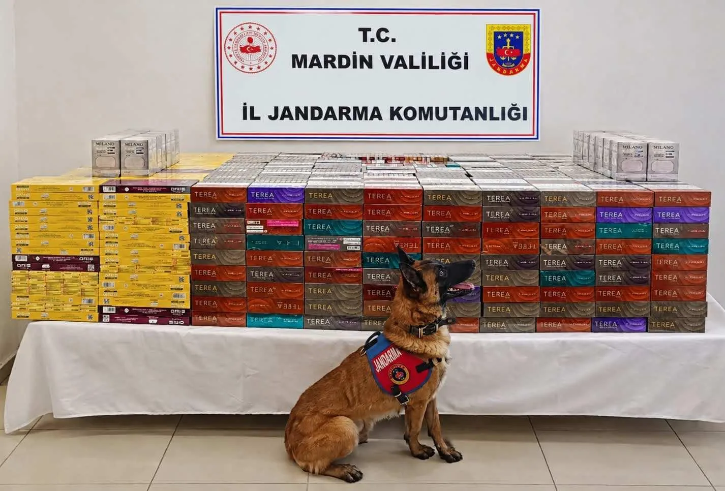 Mardin’in 4 ilçesinde eş zamanlı operasyon