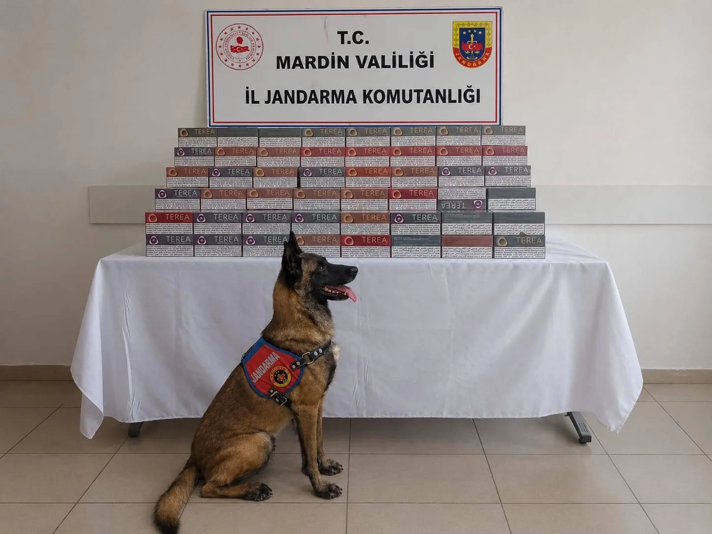 Mardin’in 4 ilçesinde eş zamanlı operasyon