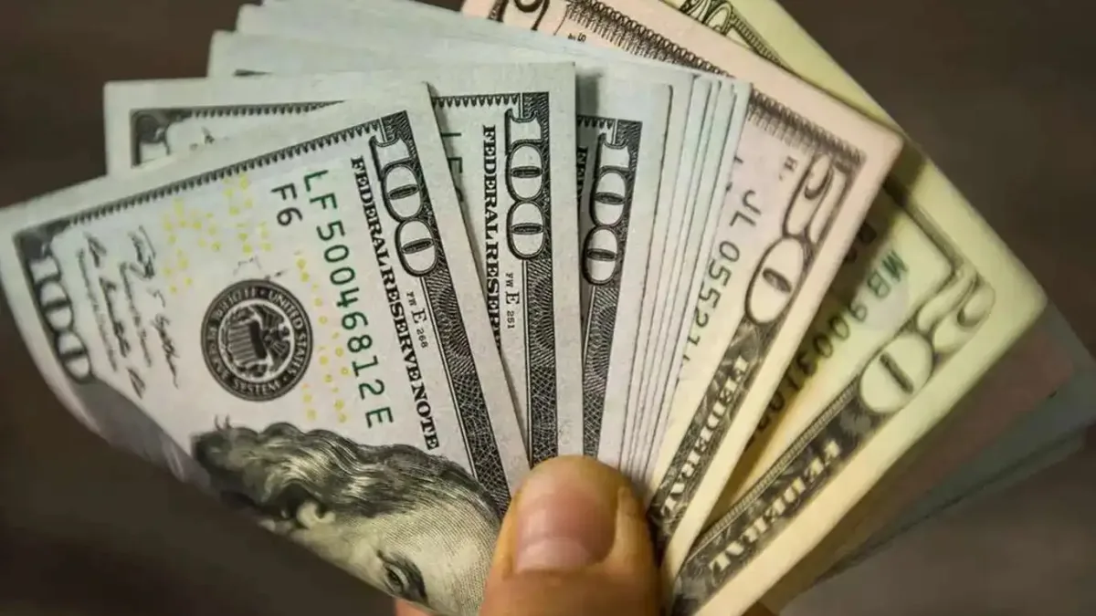 Dolar iki haftanın zirvesine yakın