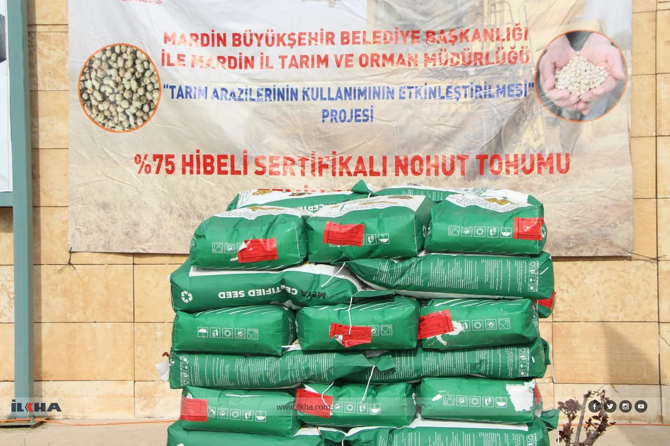 Çiftçilere mercimek ve nohut tohumu dağıtıldı